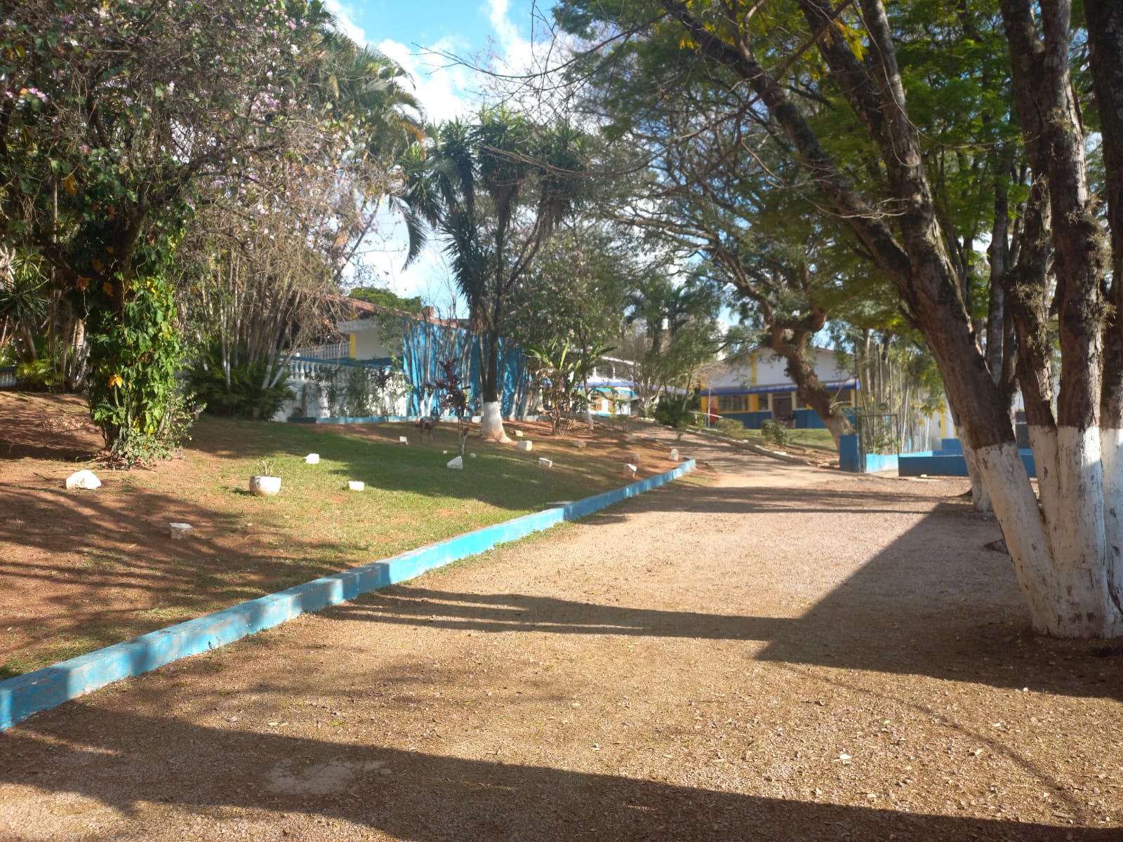 Imagem 7