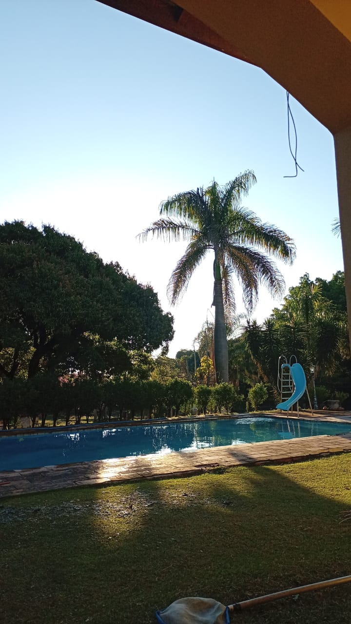 Imagem 7